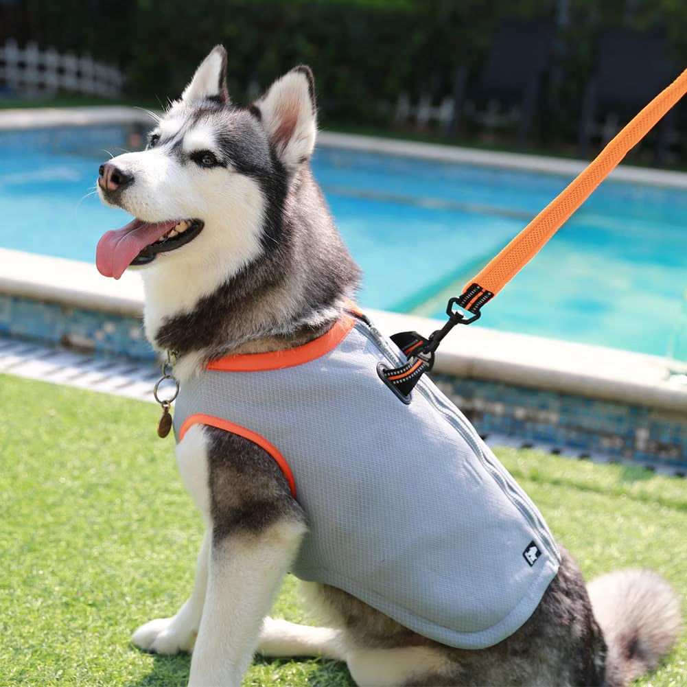 Dog Cooling Vest Summer Evaporative Harness Cooler Reflective Jacket with Cold Pack